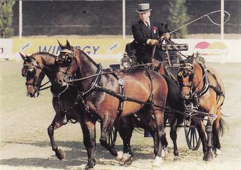 1995 Collect-A-Card Equestrian #191 Jan-Erik Pahlsson Front
